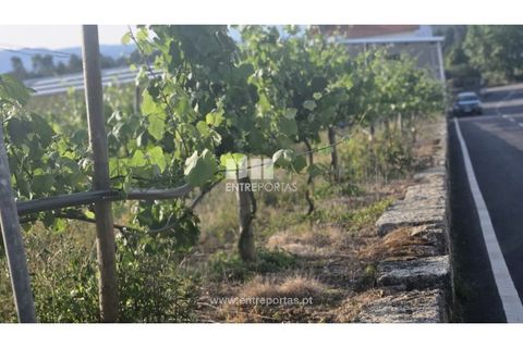 Helårsgrund i Moncao, Viana do Castelo, Moncao - € 493.500 | Ref: C02910 - foto 12