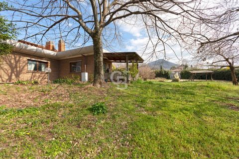 Villa a Viterbo, Viterbo, Viterbo - € 770.000 | Ref: CBI006-7-333065 - foto 41