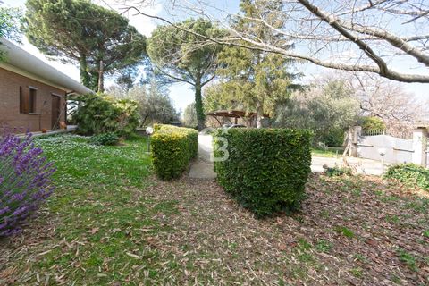 Villa a Viterbo, Viterbo, Viterbo - € 770.000 | Ref: CBI006-7-333065 - foto 47