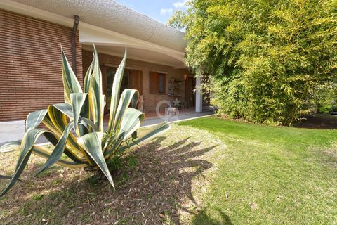 Villa a Viterbo, Viterbo, Viterbo - € 770.000 | Ref: CBI006-7-333065 - foto 48