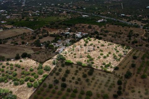Helårsgrund i Moncarapacho, Faro, Moncarapacho - € 199.000 | Ref: ZMPT570969 - foto 2