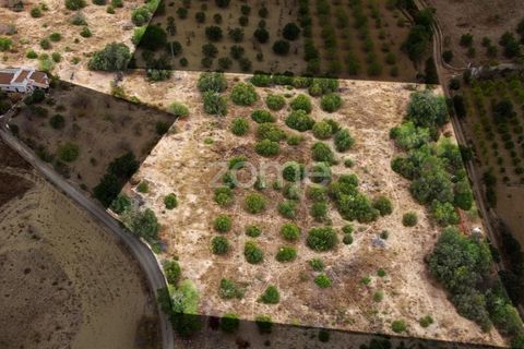 Helårsgrund i Moncarapacho, Faro, Moncarapacho - € 199.000 | Ref: ZMPT570969 - foto 5