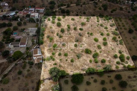 Helårsgrund i Moncarapacho, Faro, Moncarapacho - € 199.000 | Ref: ZMPT570969 - foto 6