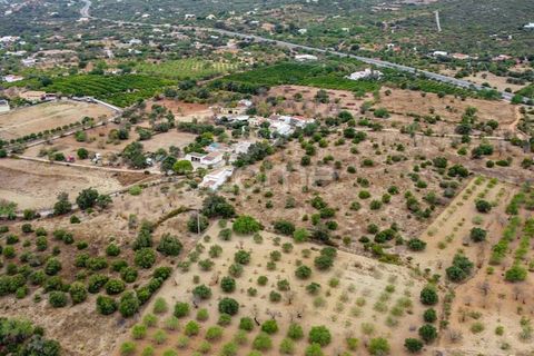 Helårsgrund i Moncarapacho, Faro, Moncarapacho - € 199.000 | Ref: ZMPT570969 - foto 7