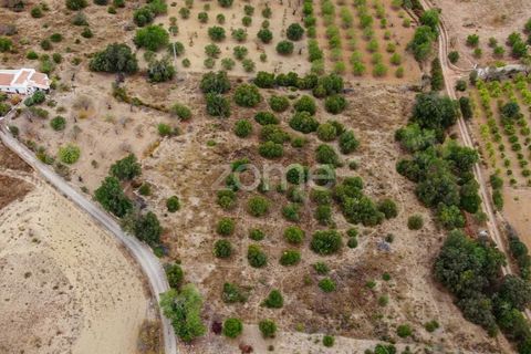 Helårsgrund i Moncarapacho, Faro, Moncarapacho - € 199.000 | Ref: ZMPT570969 - foto 10