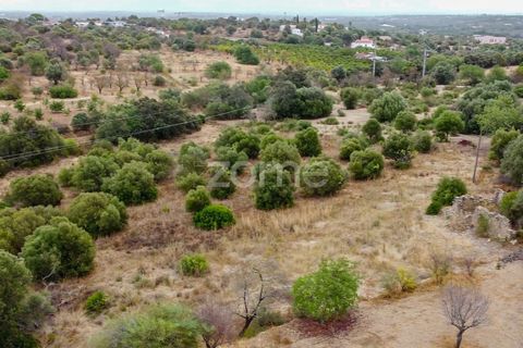 Helårsgrund i Moncarapacho, Faro, Moncarapacho - € 199.000 | Ref: ZMPT570969 - foto 12