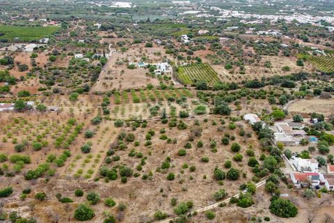 Helårsgrund i Moncarapacho, Faro, Moncarapacho - € 199.000 | Ref: ZMPT570969 - foto 1