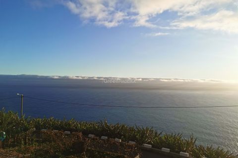 Villa - Ponta do Sol, Madeira, Ponta do Sol - € 1 680 000 | Réf : 24-1056 - photo 8