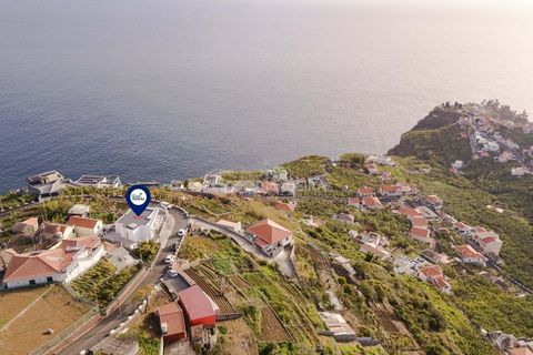Villa - Ponta do Sol, Madeira, Ponta do Sol - € 1 680 000 | Réf : 24-1056 - photo 14