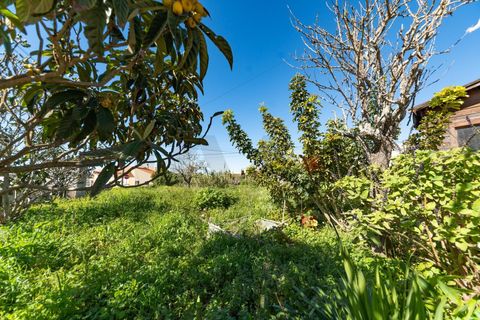 Villa i Sagres, Faro, Sagres - € 475.000 | Ref: KWPT-029339 - foto 5