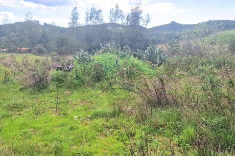 Helårsgrund i Silves, Faro, Silves - € 180.000 | Ref: KWPT-029805 - foto 3