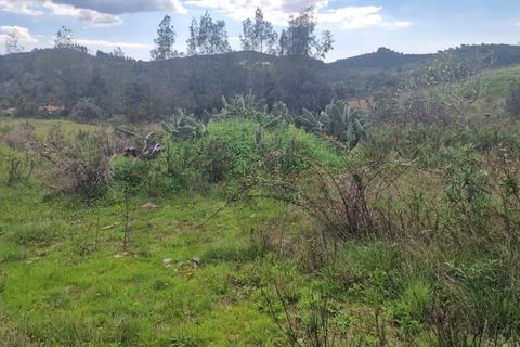 Helårsgrund i Silves, Faro, Silves - € 180.000 | Ref: KWPT-029805 - foto 8