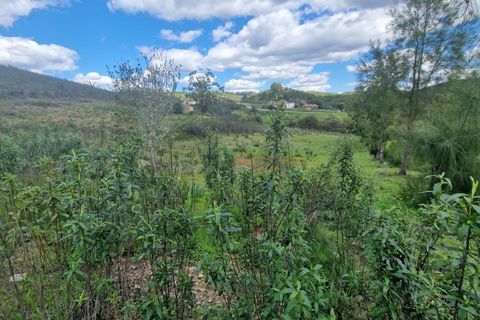 Helårsgrund i Silves, Faro, Silves - € 180.000 | Ref: KWPT-029805 - foto 14