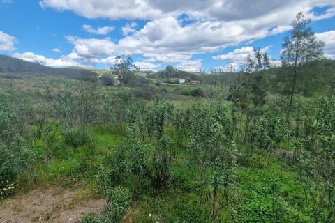 Helårsgrund i Silves, Faro, Silves - € 180.000 | Ref: KWPT-029805 - foto 15