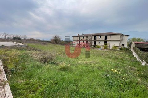 Terra a Solopaca, Benevento, Solopaca - € 35.000 | Ref: AA39850 - foto 2