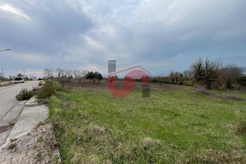 Terra a Solopaca, Benevento, Solopaca - € 35.000 | Ref: AA39850 - foto 4