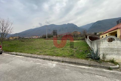 Terra a Solopaca, Benevento, Solopaca - € 35.000 | Ref: AA39850 - foto 5