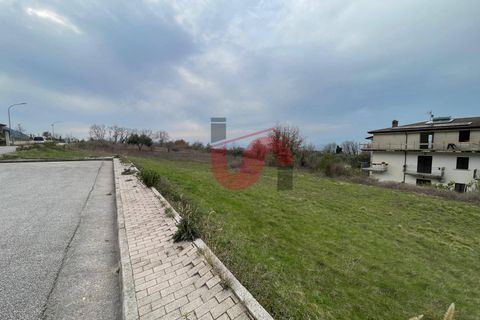 Terra a Solopaca, Benevento, Solopaca - € 35.000 | Ref: AA39850 - foto 6