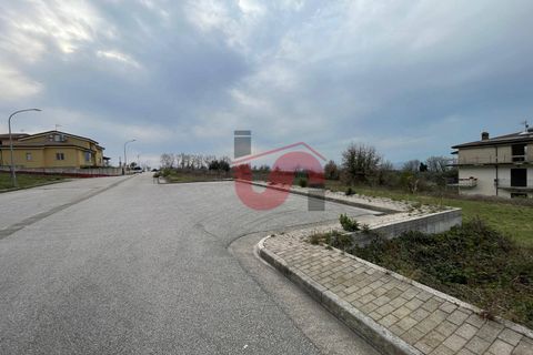 Terra a Solopaca, Benevento, Solopaca - € 35.000 | Ref: AA39850 - foto 7