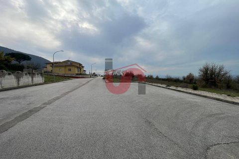 Terra a Solopaca, Benevento, Solopaca - € 35.000 | Ref: AA39850 - foto 8