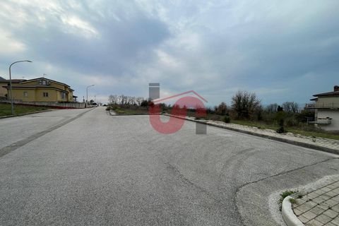 Terra a Solopaca, Benevento, Solopaca - € 35.000 | Ref: AA39850 - foto 9