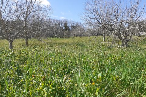 Byhus i Palazzolo Acreide, Siracusa, Palazzolo Acreide - € 110.000 | Ref: IA4873PA - foto 49