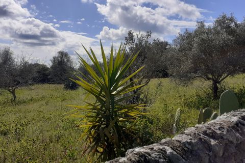 Byhus i Palazzolo Acreide, Siracusa, Palazzolo Acreide - € 110.000 | Ref: IA4873PA - foto 50