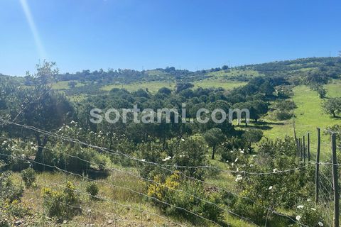 Helårsgrund i Castro Marim, Faro, Castro Marim - € 90.000 | Ref: Sort24779 - foto 10