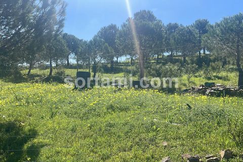 Helårsgrund i Castro Marim, Faro, Castro Marim - € 90.000 | Ref: Sort24779 - foto 12