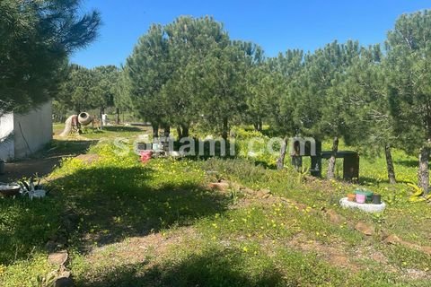 Helårsgrund i Castro Marim, Faro, Castro Marim - € 90.000 | Ref: Sort24779 - foto 13