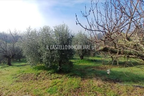 Farm hus i Trequanda, Siena, Trequanda - € 420.000 | Ref: CS168 - foto 3