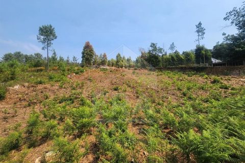 Helårsgrund i Ponte de Lima, Viana do Castelo, Ponte de Lima - € 50.000 | Ref: 251260031 - foto 2