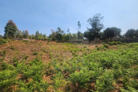 Helårsgrund i Ponte de Lima, Viana do Castelo, Ponte de Lima - € 50.000 | Ref: 251260031 - foto 5