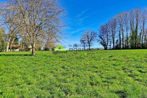 Terra a Pontarion, Creuse, Pontarion - € 21.500 | Ref: 2026-02 - foto 5