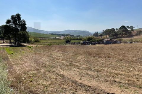 Helårsgrund i Matacaes, Lisbon, Matacaes - € 2.100.000 | Ref: KWPT-029427 - foto 8