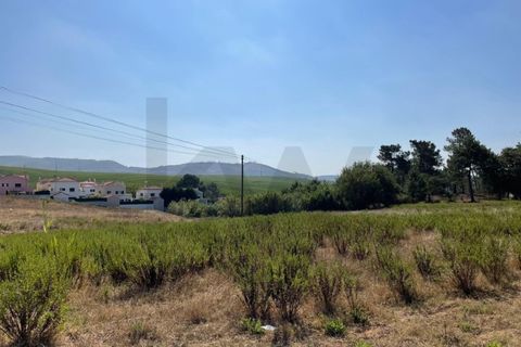 Helårsgrund i Matacaes, Lisbon, Matacaes - € 2.100.000 | Ref: KWPT-029427 - foto 15