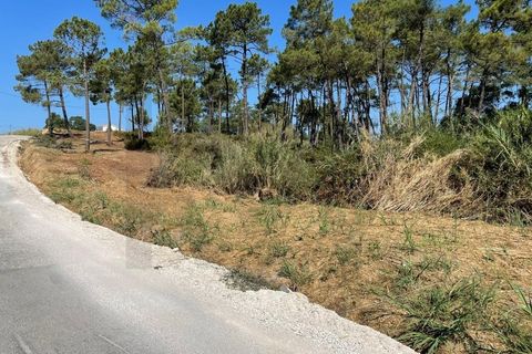 Helårsgrund i Matacaes, Lisbon, Matacaes - € 2.100.000 | Ref: KWPT-029427 - foto 17