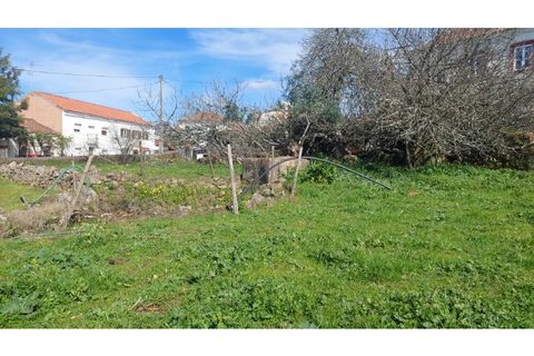 Helårsgrund i Macao, Santarem, Macao - € 29.500 | Ref: SÒL_157 - foto 2