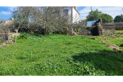 Helårsgrund i Macao, Santarem, Macao - € 29.500 | Ref: SÒL_157 - foto 3