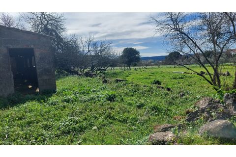 Helårsgrund i Macao, Santarem, Macao - € 29.500 | Ref: SÒL_157 - foto 4