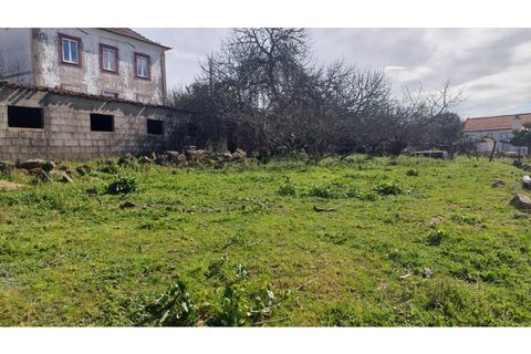 Helårsgrund i Macao, Santarem, Macao - € 29.500 | Ref: SÒL_157 - foto 5