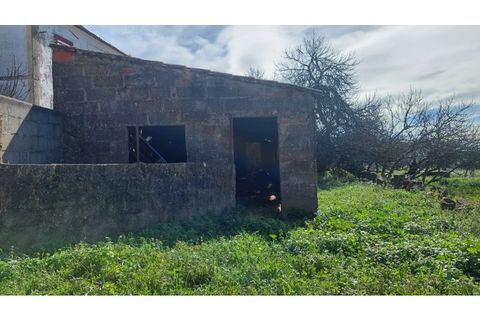 Helårsgrund i Macao, Santarem, Macao - € 29.500 | Ref: SÒL_157 - foto 6