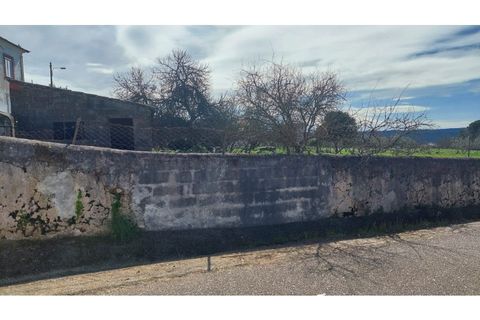 Helårsgrund i Macao, Santarem, Macao - € 29.500 | Ref: SÒL_157 - foto 7