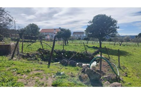 Helårsgrund i Macao, Santarem, Macao - € 29.500 | Ref: SÒL_157 - foto 8