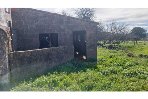 Helårsgrund i Macao, Santarem, Macao - € 29.500 | Ref: SÒL_157 - foto 11