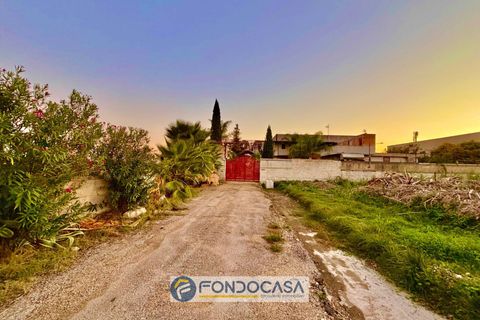 Erhvervsejendom i Capua, Caserta, Capua - € 890.000 | Ref: Capua (CE) - foto 2