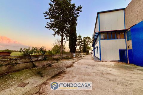 Erhvervsejendom i Capua, Caserta, Capua - € 890.000 | Ref: Capua (CE) - foto 7