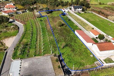 Helårsgrund i Moncao, Viana do Castelo, Moncao - € 75.000 | Ref: C0393-01441 - foto 2