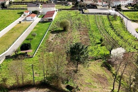 Helårsgrund i Moncao, Viana do Castelo, Moncao - € 75.000 | Ref: C0393-01441 - foto 7