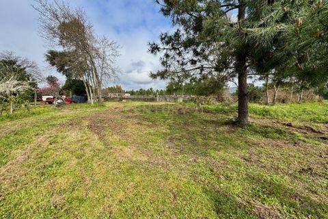Helårsgrund i Moncao, Viana do Castelo, Moncao - € 75.000 | Ref: C0393-01441 - foto 14